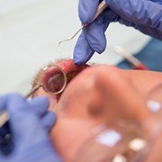 Patient receiving emergency dentistry treatment